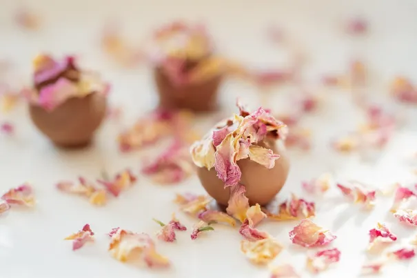 Kaszinó Bella Vegas Android/iOS Alkalmazás